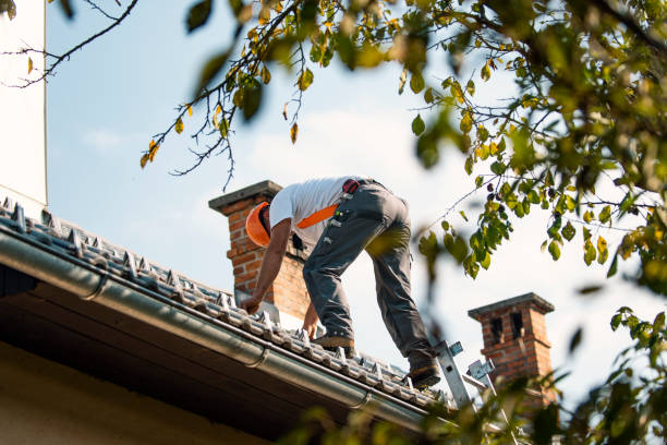 Best Metal Roofing Contractor  in Bear Rocks, PA